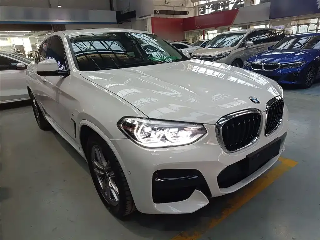 BMW X4 2021 из CN, фото 4