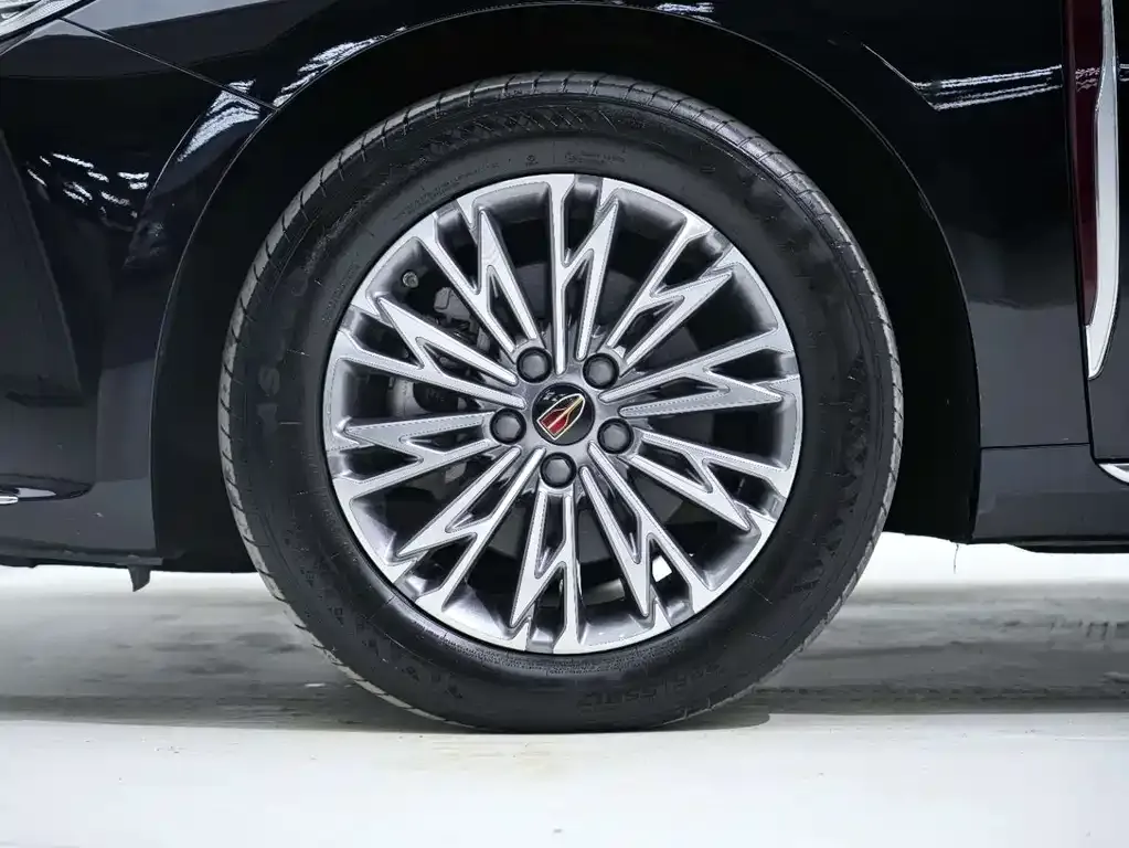 Hongqi H5 2023 из CN, фото 9
