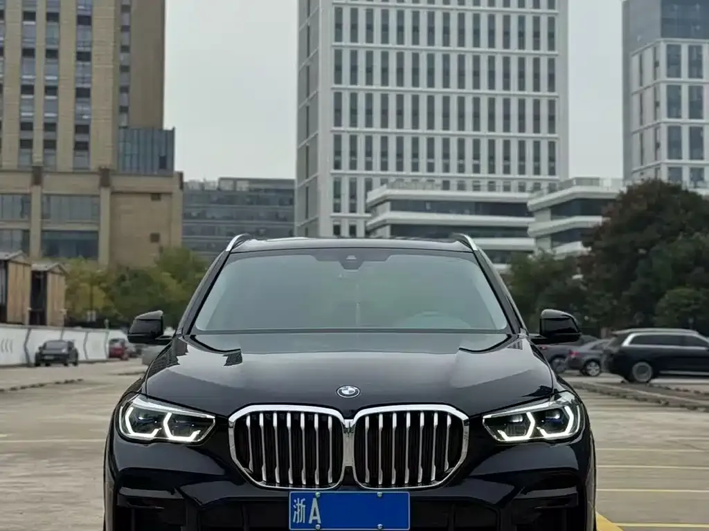 BMW X5 (Import) 2022 из CN, фото 1