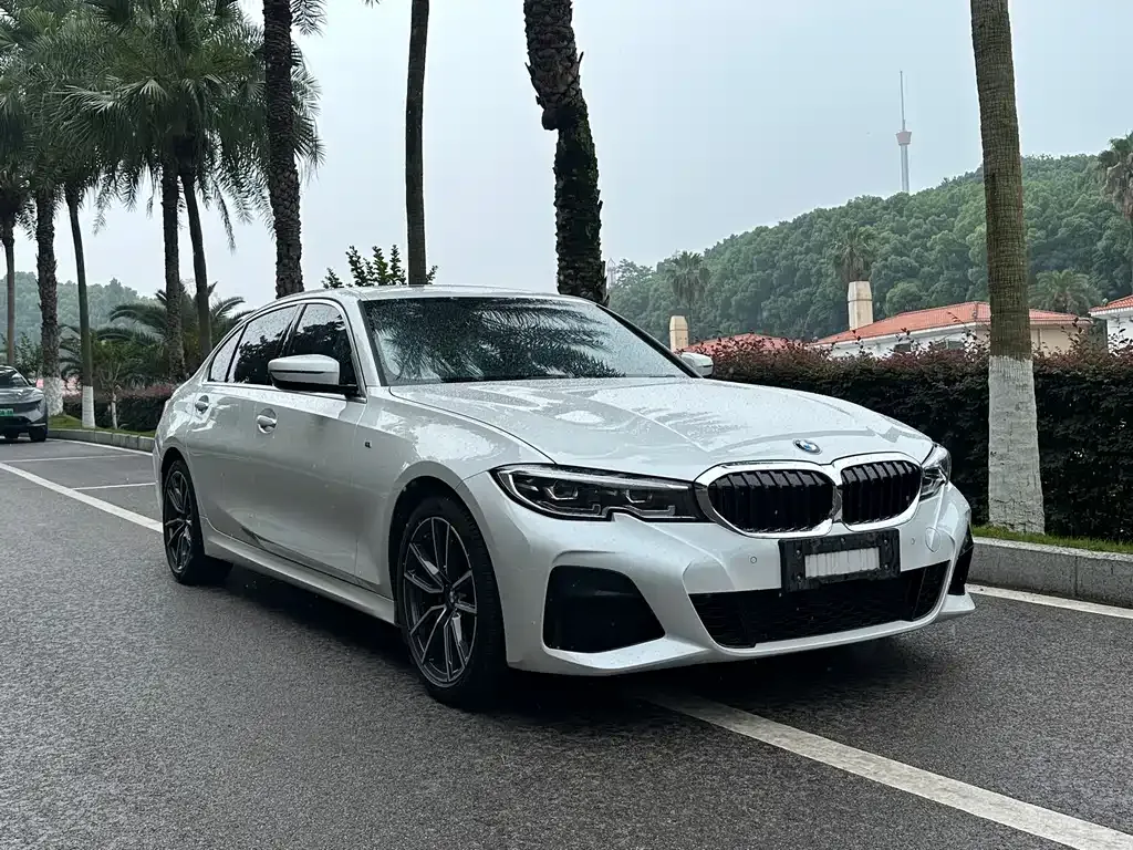 BMW 3 Series 2021 из CN, фото 3