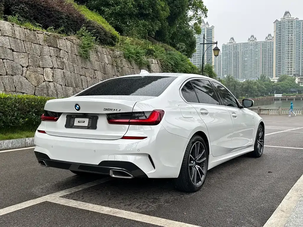 BMW 3 Series 2021 из CN, фото 6