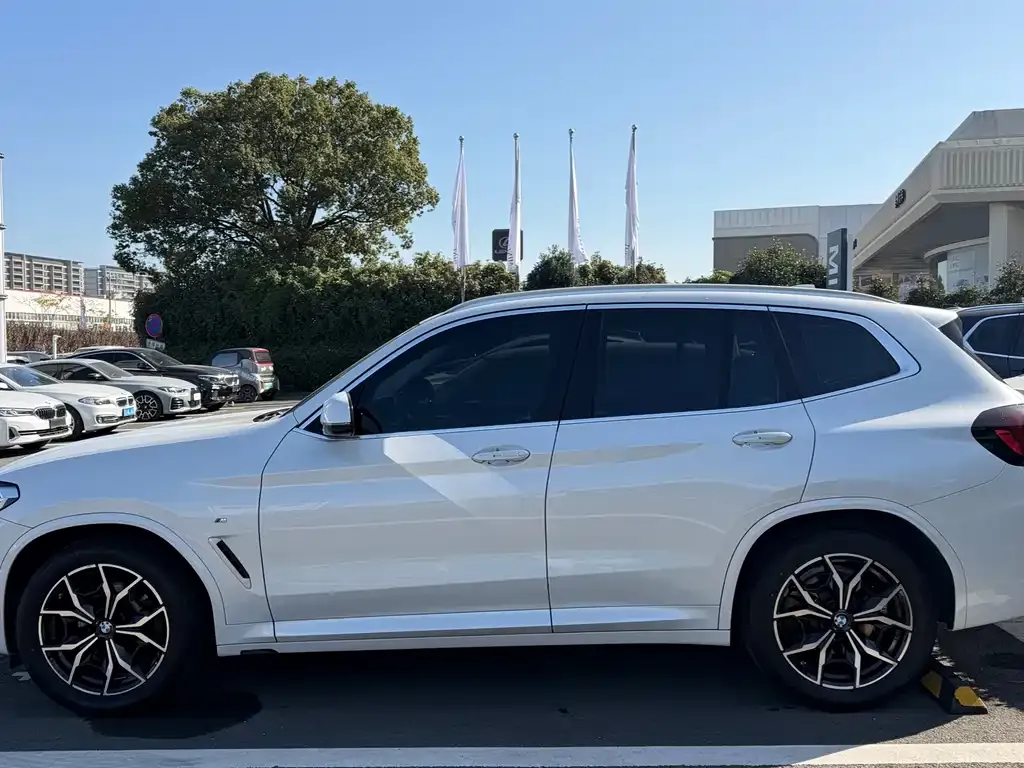 BMW X3 2023 из CN, фото 10