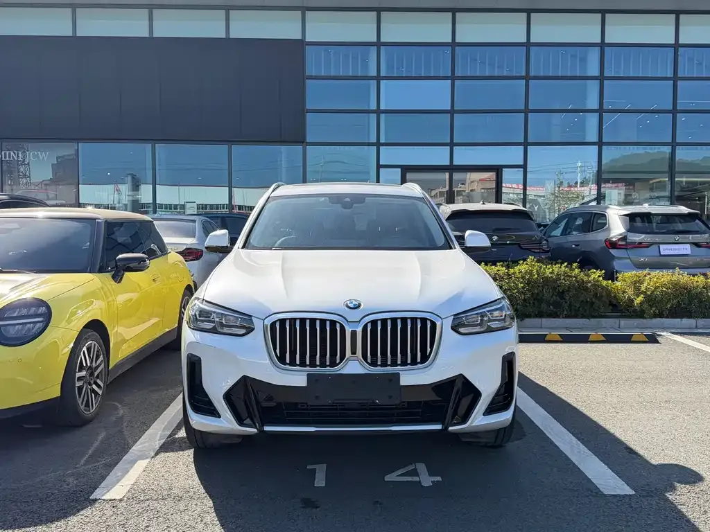 BMW X3 2023 из CN, фото 3