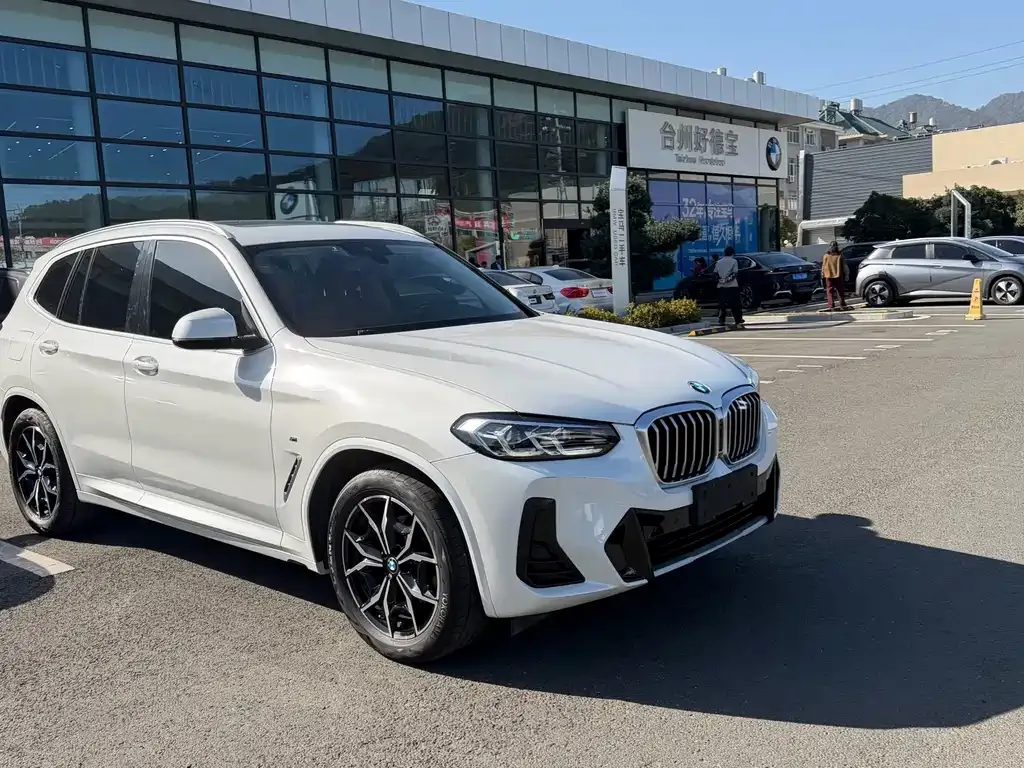 BMW X3 2023 из CN, фото 7