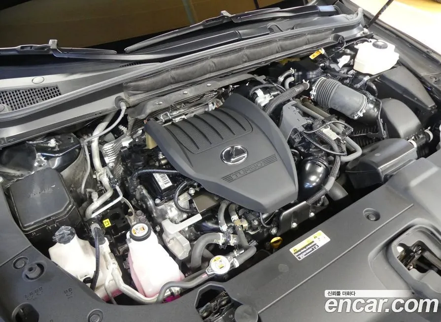 Lexus RX 2024 из KR, фото 6