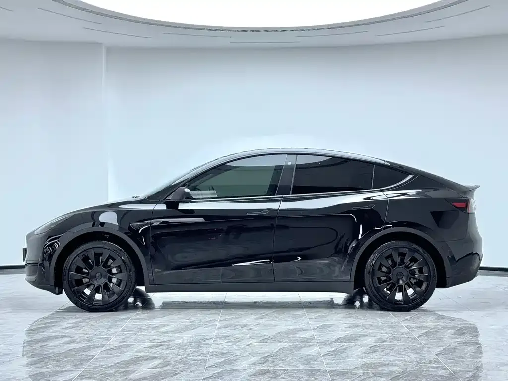 Tesla Model Y 2023 из CN, фото 2
