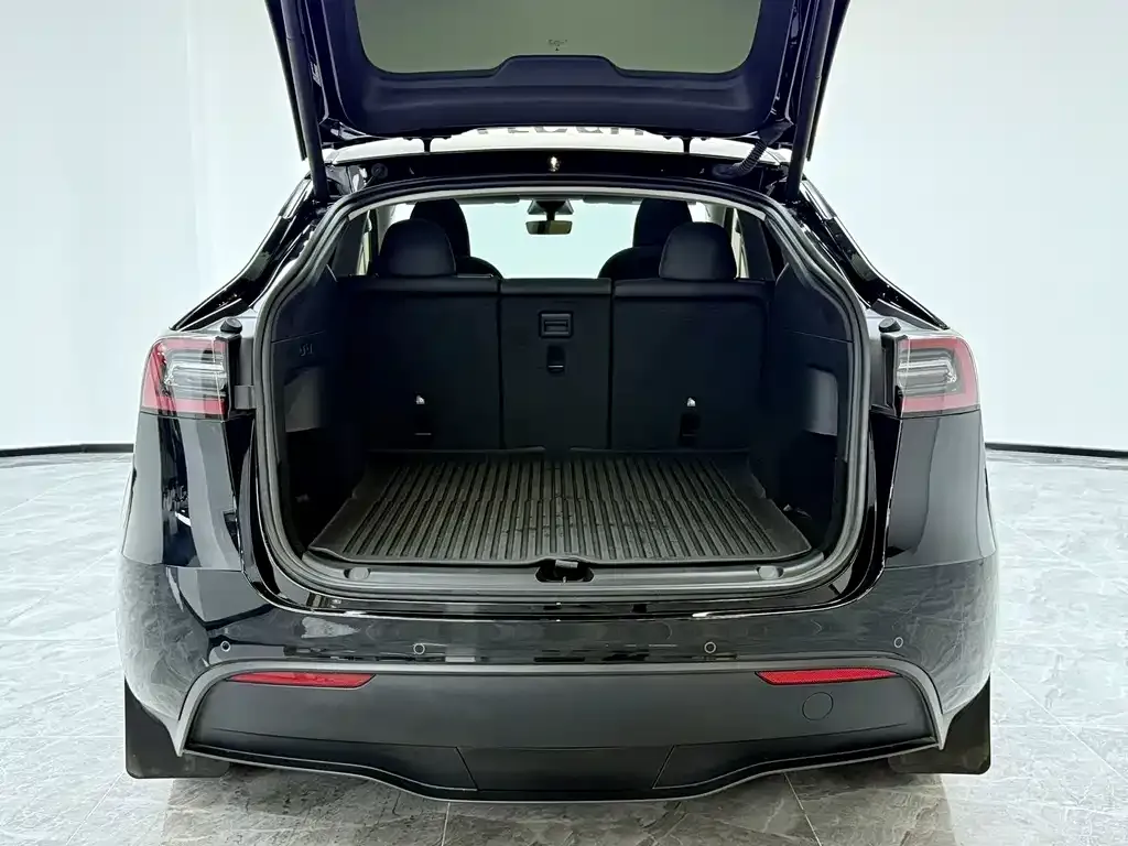Tesla Model Y 2023 из CN, фото 6