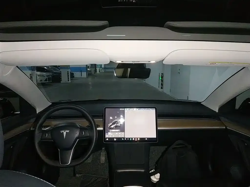 Tesla Model 3 2021 из CN, фото 10