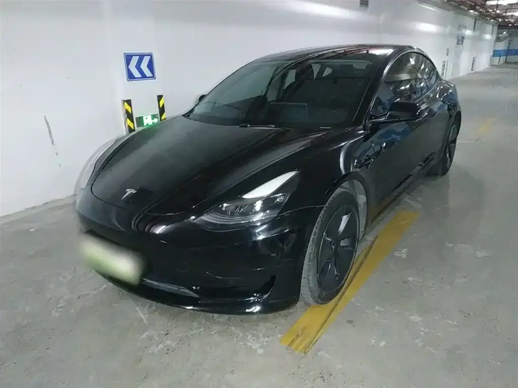 Tesla Model 3 2021 из CN, фото 2