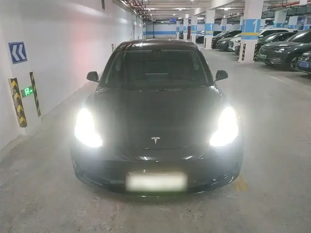 Tesla Model 3 2021 из CN, фото 3
