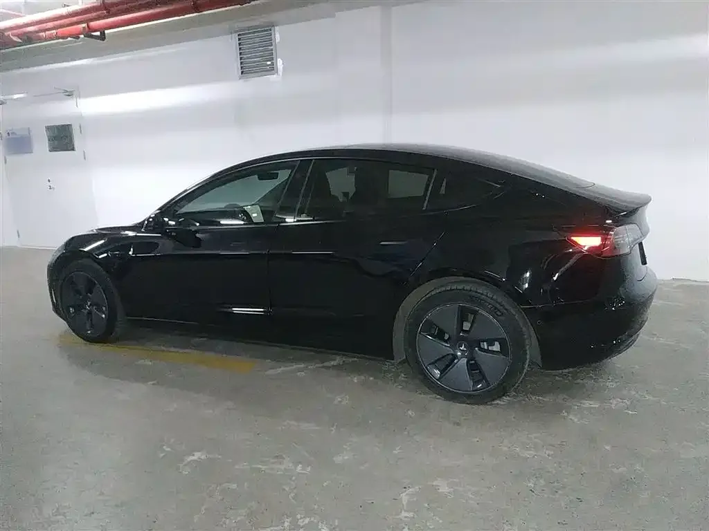 Tesla Model 3 2021 из CN, фото 5