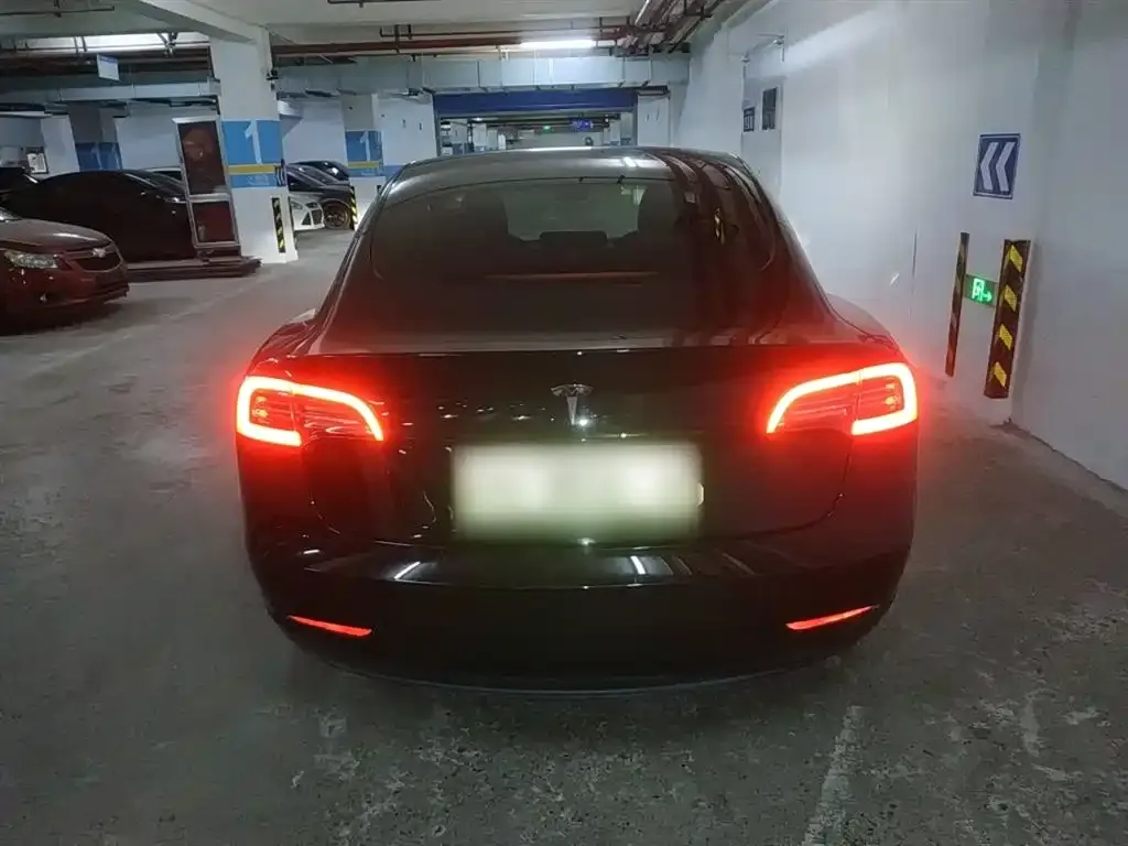 Tesla Model 3 2021 из CN, фото 6