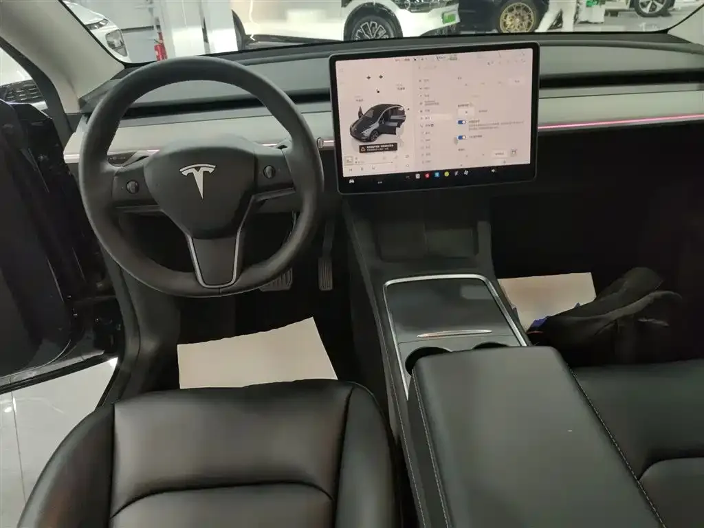 Tesla Model Y 2024 из CN, фото 10