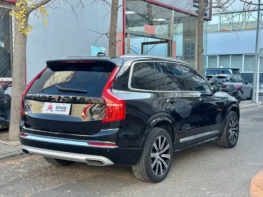 Volvo XC90 — фото 10