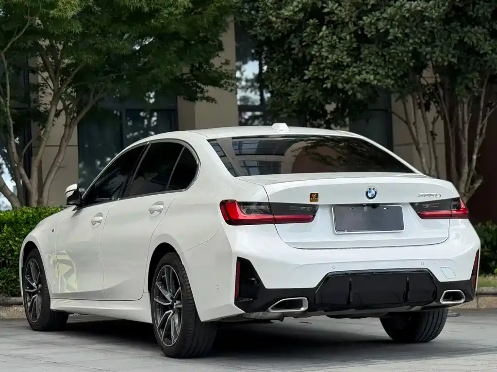 BMW 3 Series 2024 из CN, фото 10