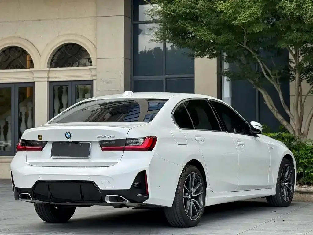 BMW 3 Series 2024 из CN, фото 8