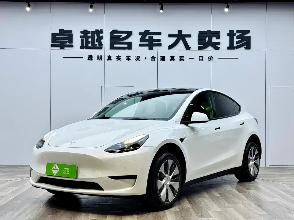Tesla Model Y — фото 1