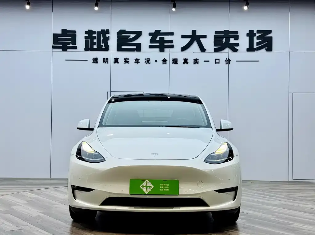 Tesla Model Y — фото 2