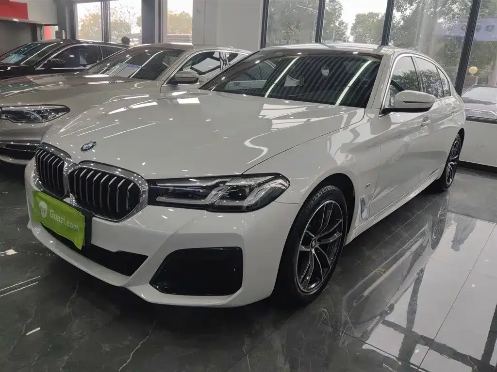 BMW 5 Series 2021 из CN, фото 1