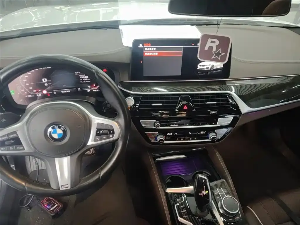 BMW 5 Series 2021 из CN, фото 10