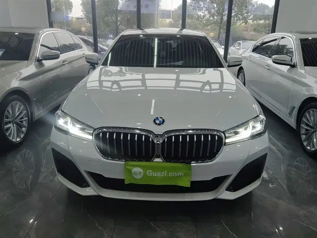 BMW 5 Series 2021 из CN, фото 3