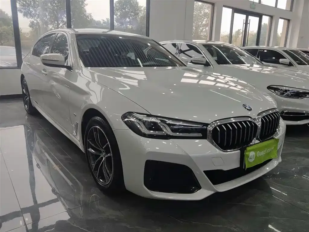 BMW 5 Series 2021 из CN, фото 4