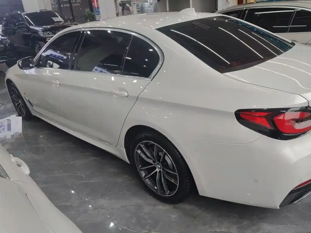 BMW 5 Series 2021 из CN, фото 5