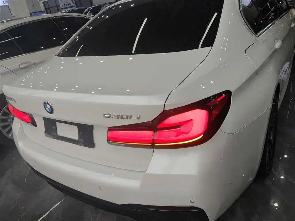 BMW 5 Series 2021 из CN, фото 6