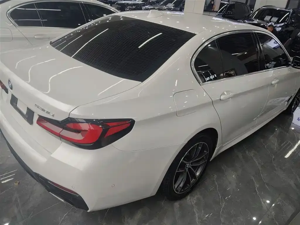 BMW 5 Series 2021 из CN, фото 7