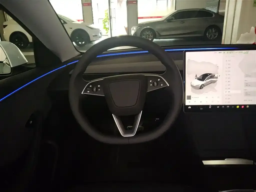 Tesla Model 3 2025 из CN, фото 3
