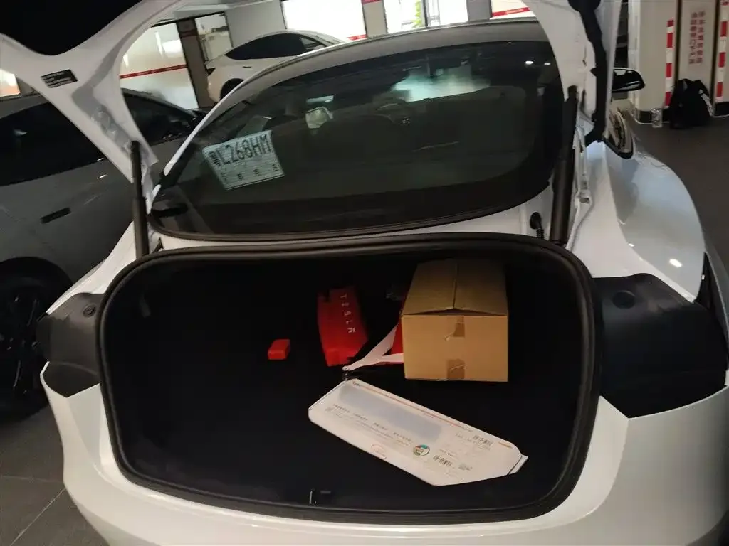 Tesla Model 3 2025 из CN, фото 9