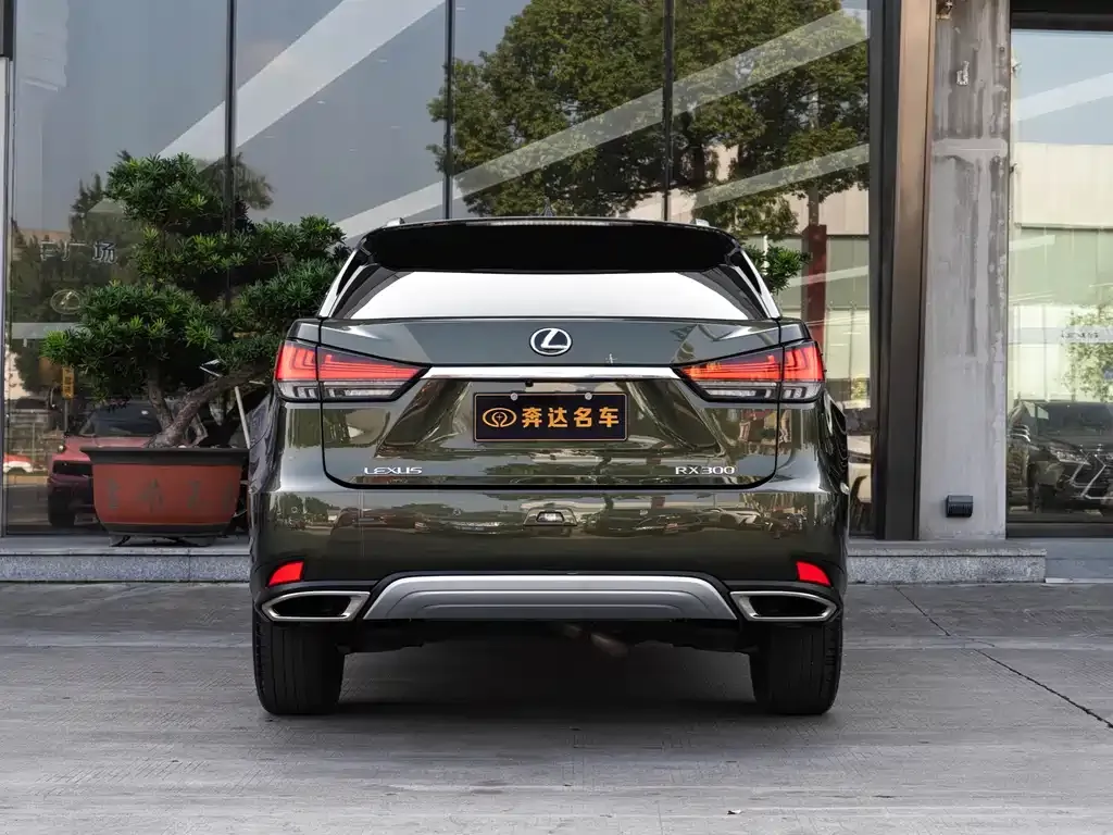 Lexus RX 2021 из CN, фото 5