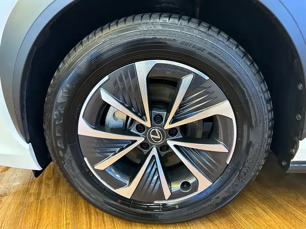 Lexus RZ — фото 10