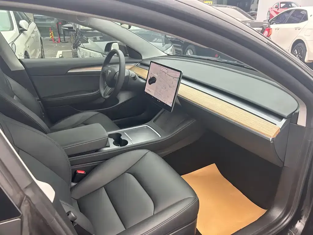 Tesla Model 3 2021 из CN, фото 9