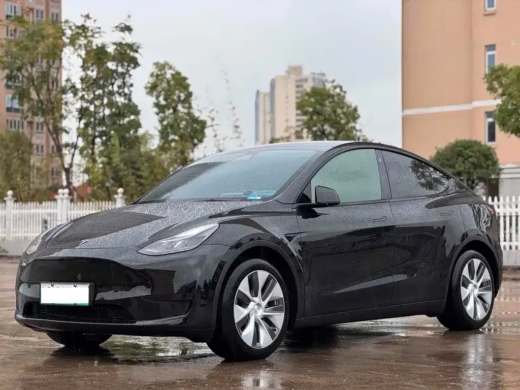 Tesla Model Y 2022 из CN, фото 1