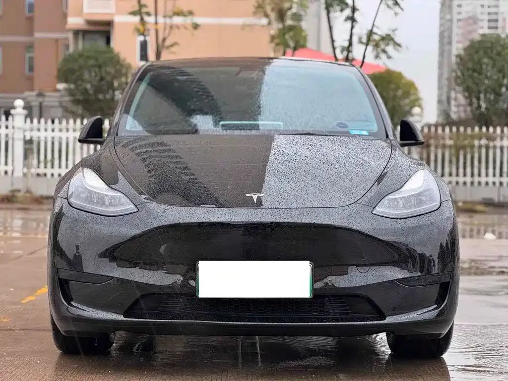 Tesla Model Y 2022 из CN, фото 2