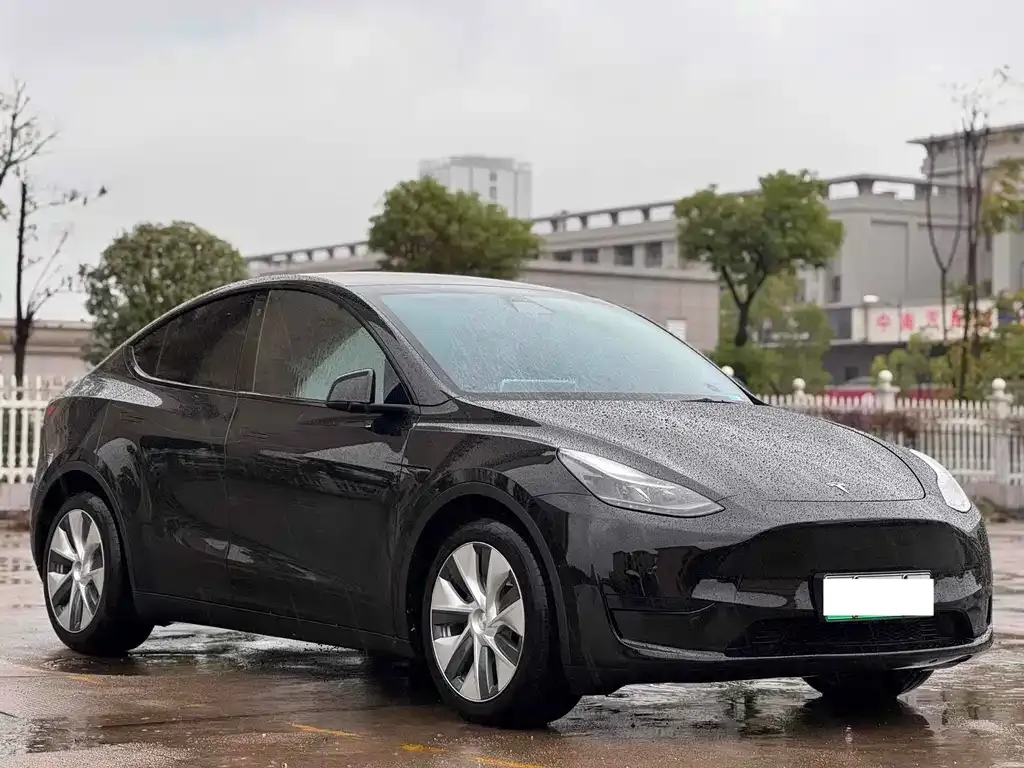 Tesla Model Y 2022 из CN, фото 3