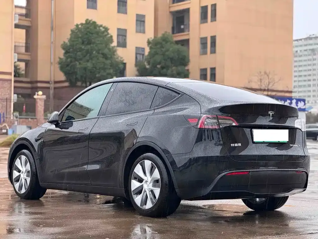 Tesla Model Y 2022 из CN, фото 6