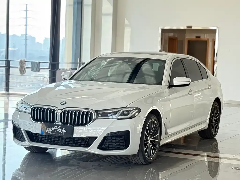 BMW 5 Series 2021 из CN, фото 1