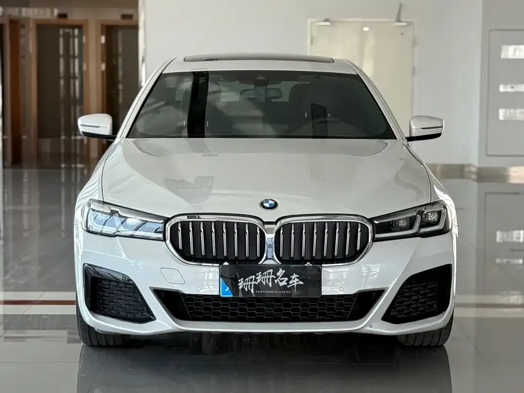 BMW 5 Series 2021 из CN, фото 2