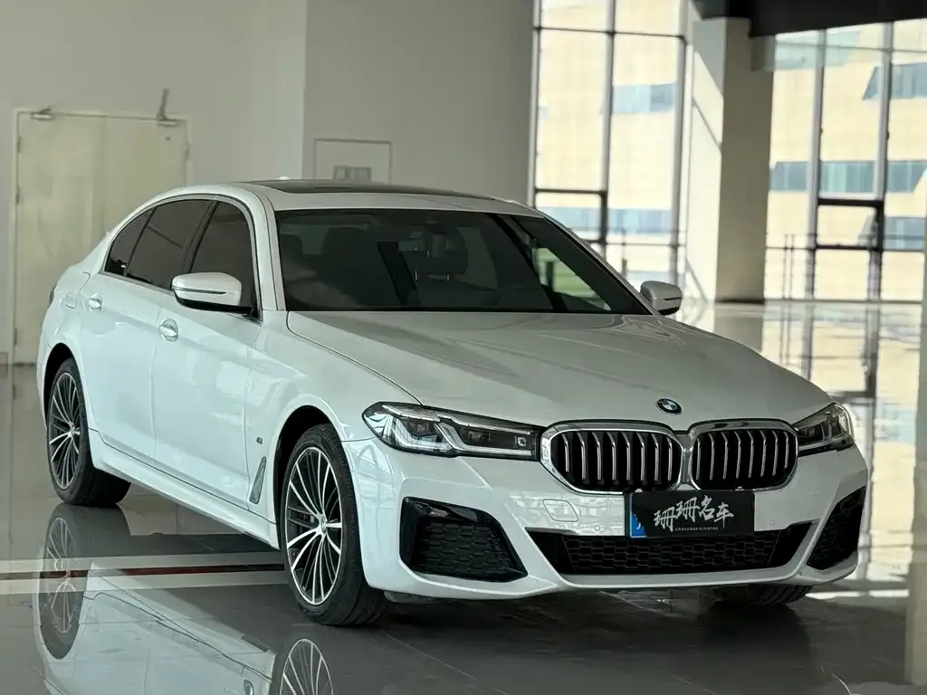 BMW 5 Series 2021 из CN, фото 3