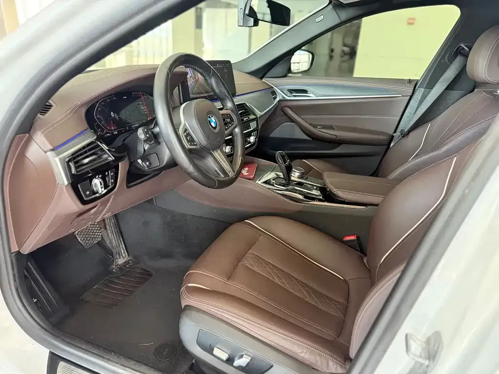 BMW 5 Series 2021 из CN, фото 4