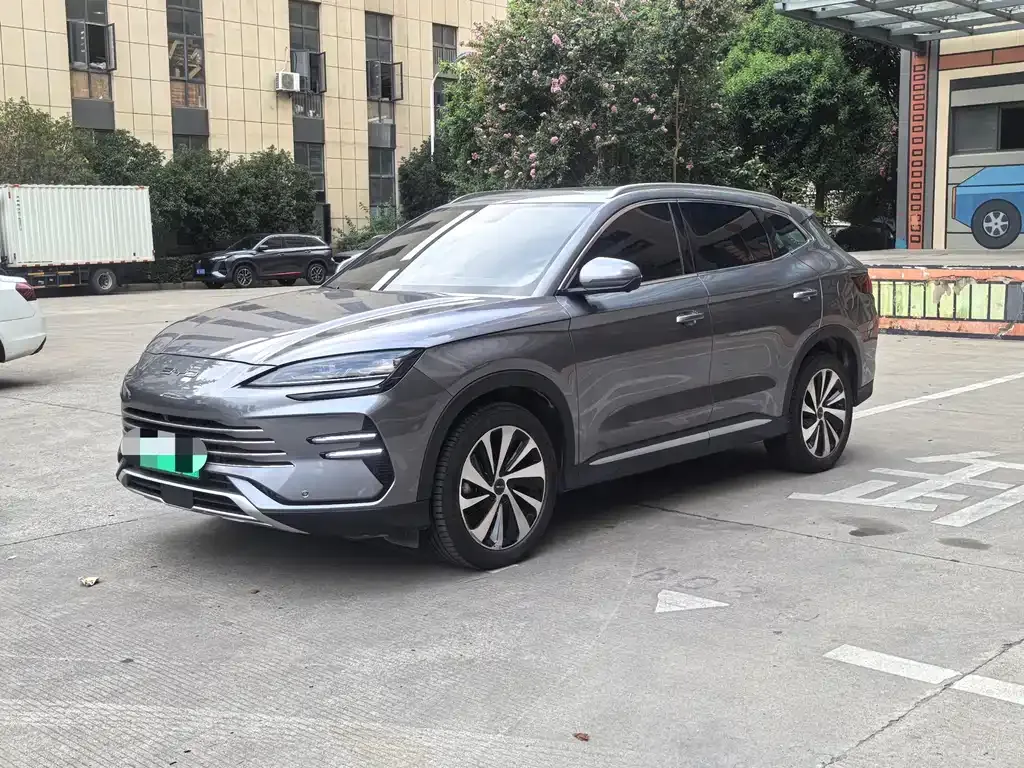 BYD PLUS New Energy 2024 из CN, фото 1