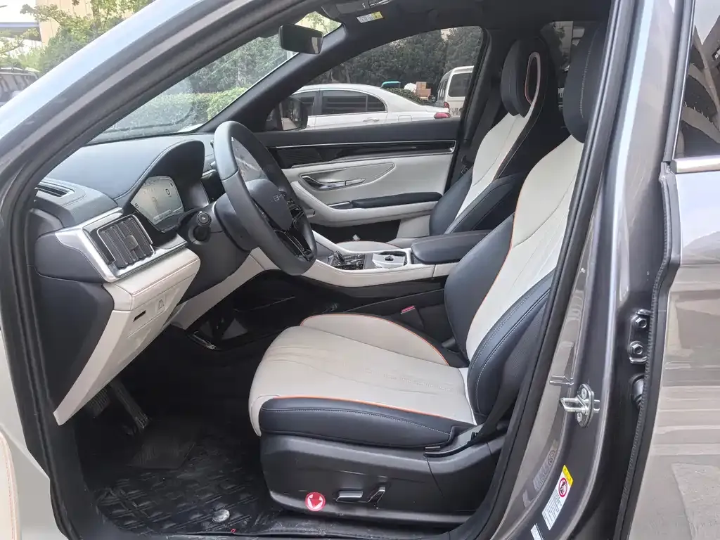 BYD PLUS New Energy 2024 из CN, фото 2