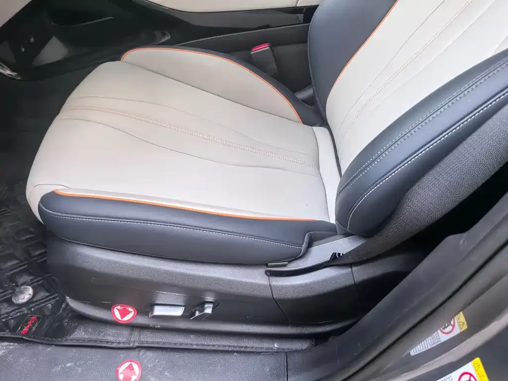 BYD PLUS New Energy 2024 из CN, фото 3