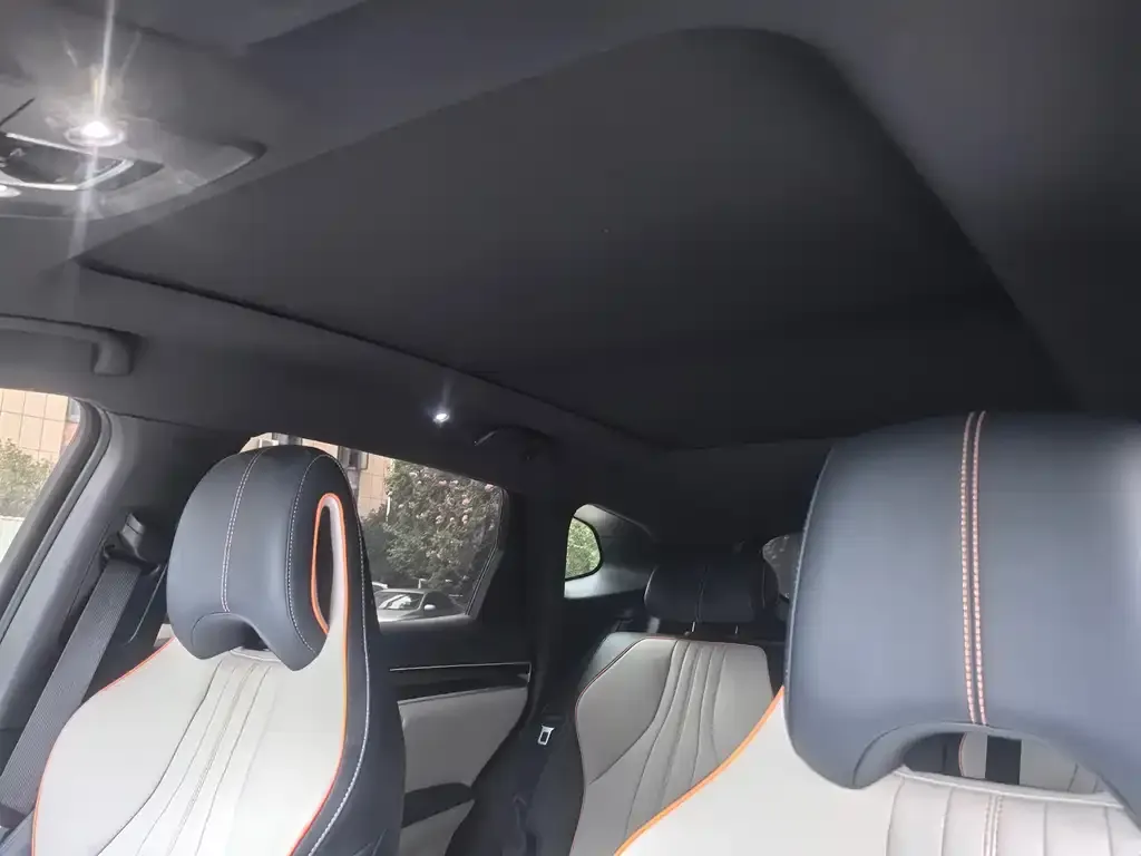 BYD PLUS New Energy 2024 из CN, фото 4