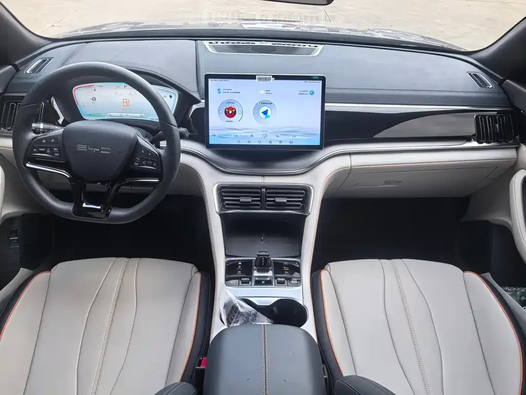 BYD PLUS New Energy 2024 из CN, фото 6