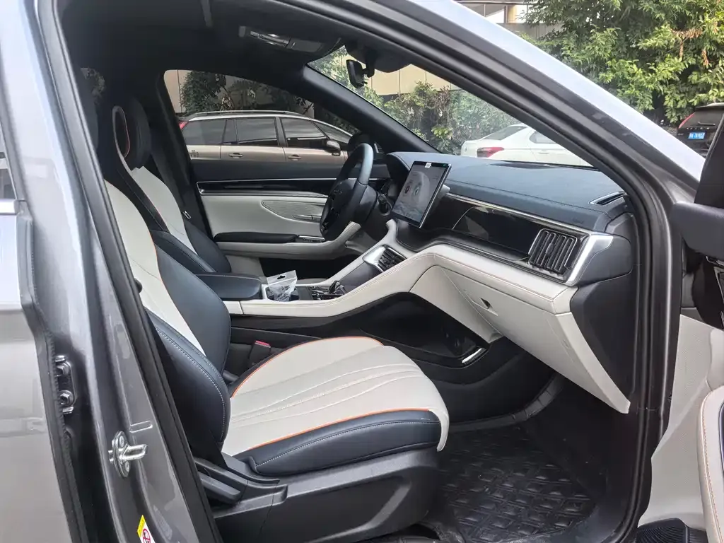 BYD PLUS New Energy 2024 из CN, фото 9