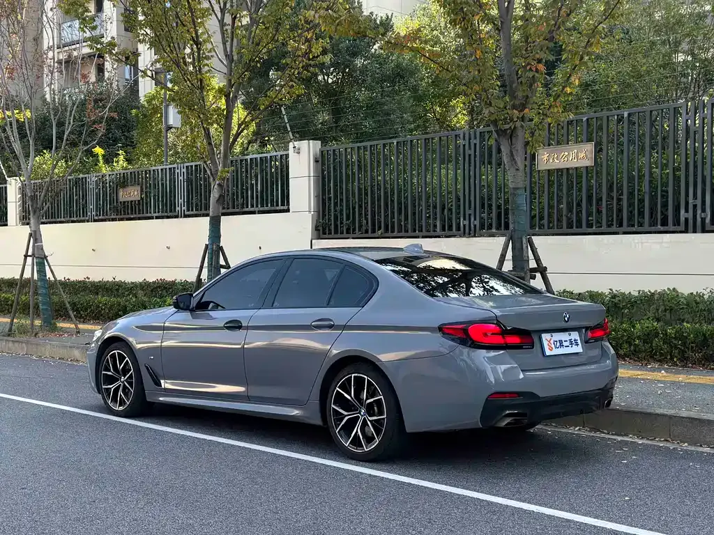 BMW 5 Series (Import) 2022 из CN, фото 9