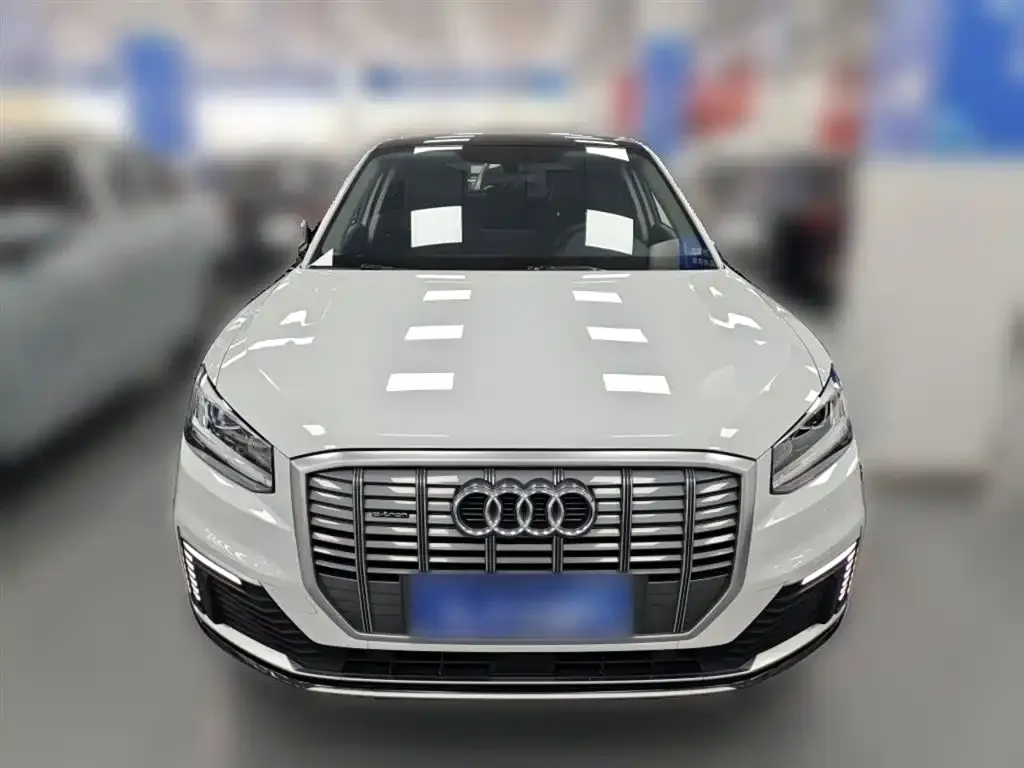 Audi Q2L e-tron 2021 из CN, фото 5